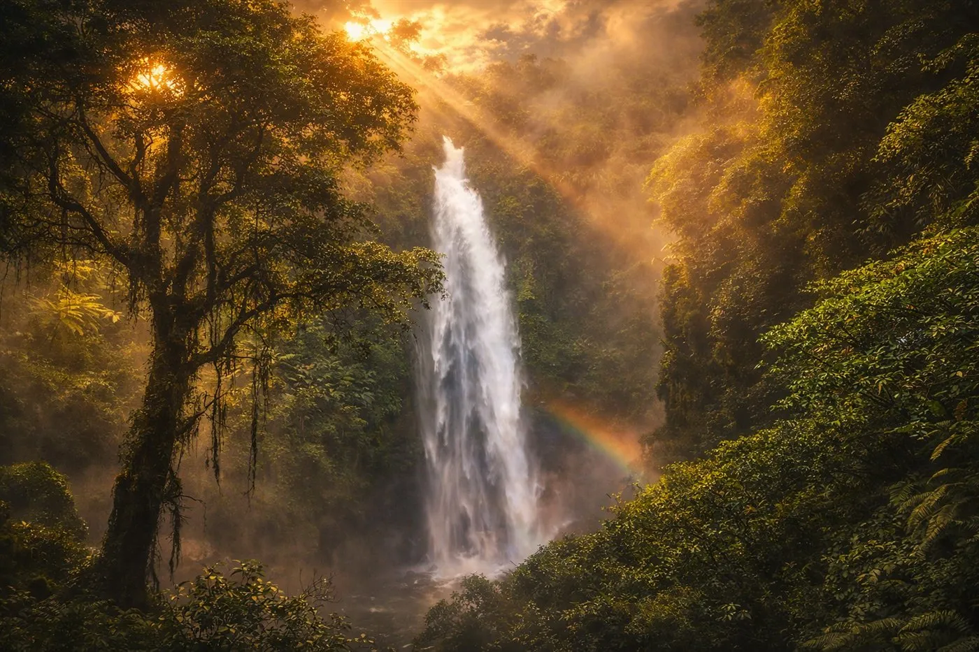 Curug Cipendok yang jatuh di tengah hutan tropis lebat